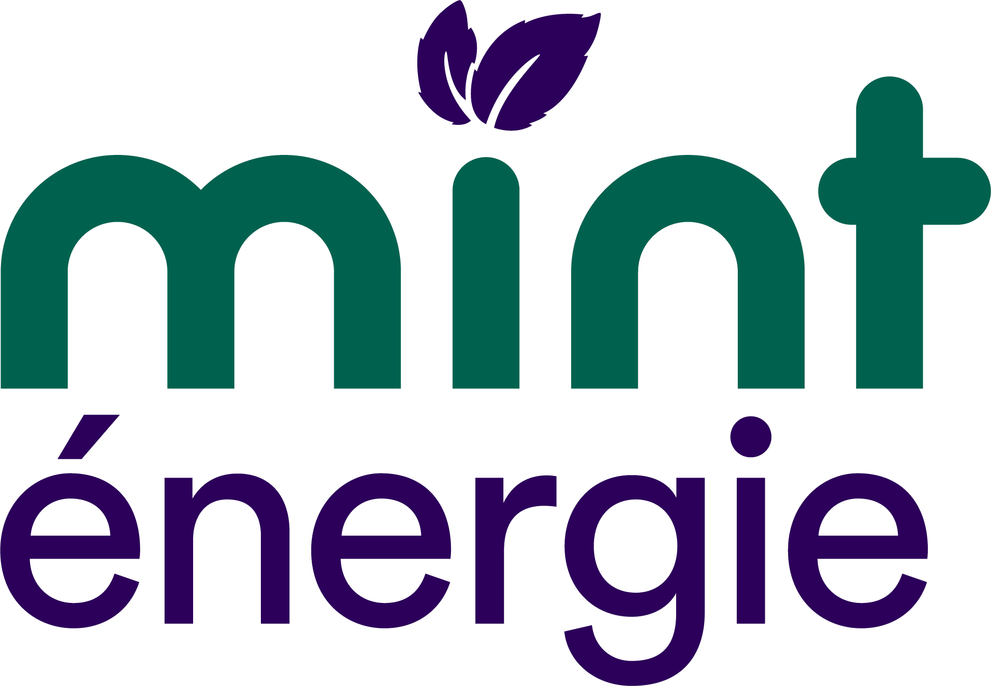 Mint energie