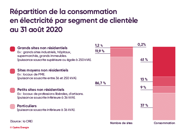 Infographie sur la répartition de la consommation moyenne d'électricité par segment de clientèle