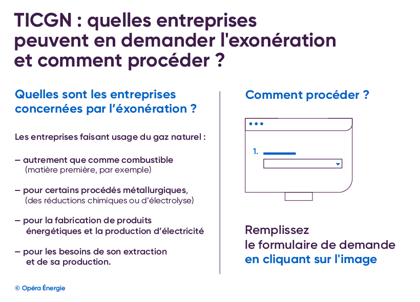 TICGN : quelles entreprises peuvent être exonérées