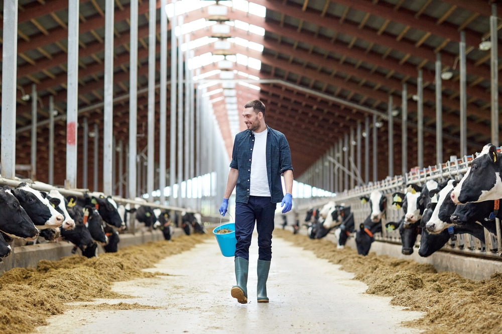 "Si on décarbone sans donner les moyens techniques et commerciaux pour y parvenir, il y aura peu ou plus d’agriculture en France "