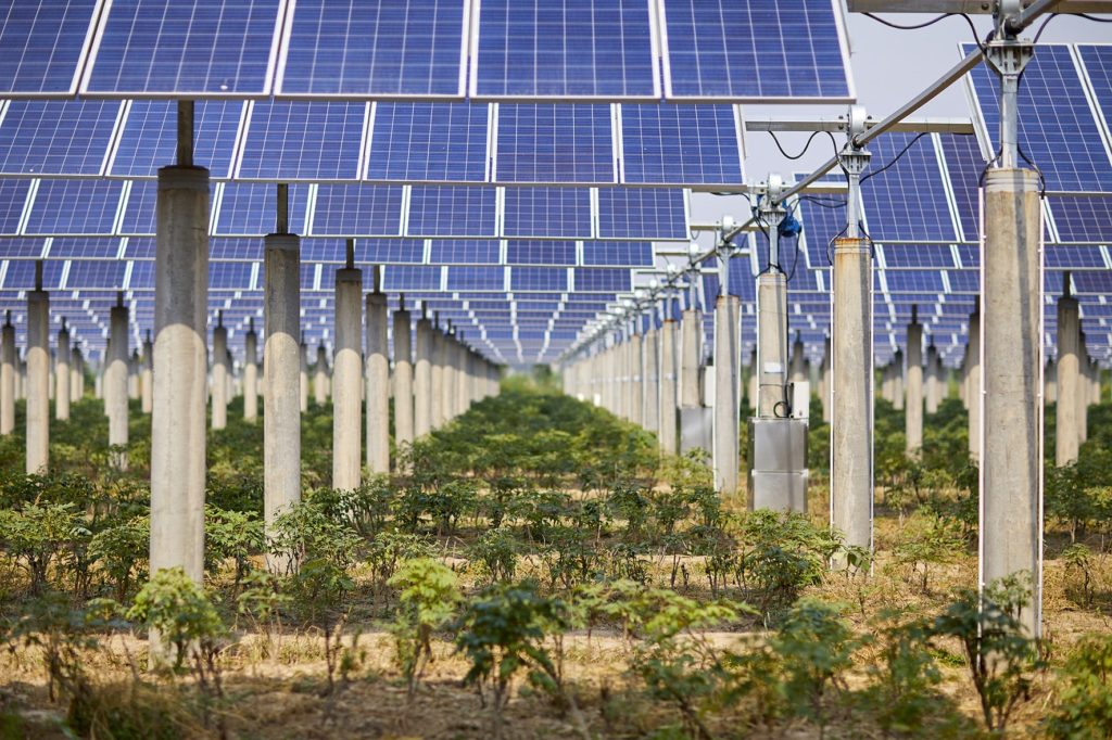 totalenergies demarre sa plus grande centrale solaire