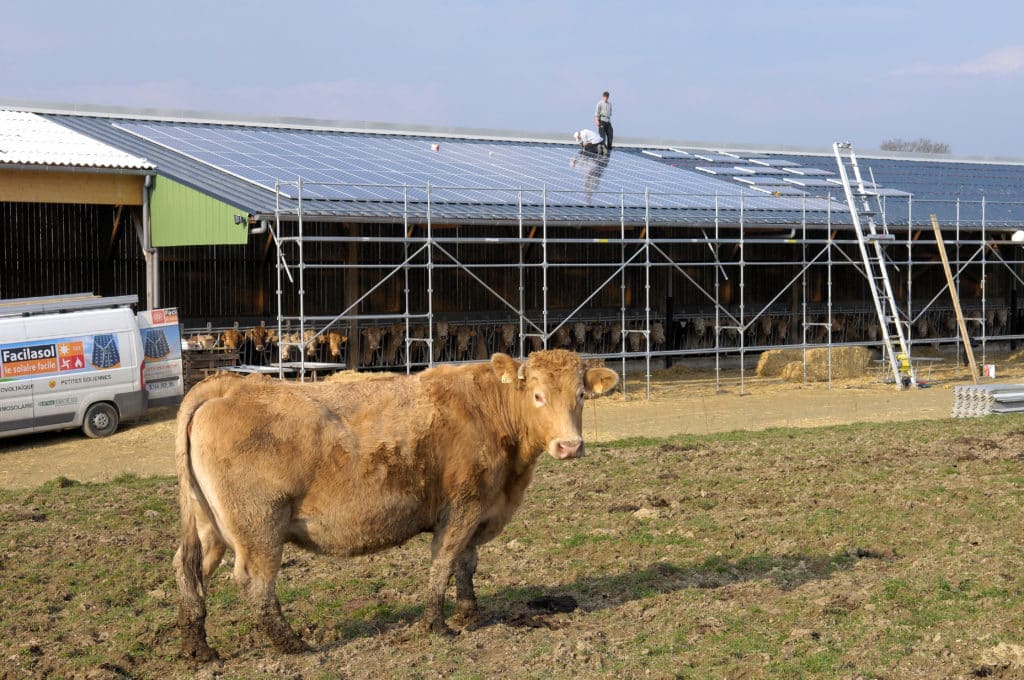 La biomasse, l'un des responsables du futur échec de la transition énergétique ?