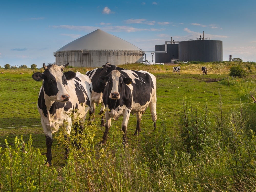 premier appel offres biogaz