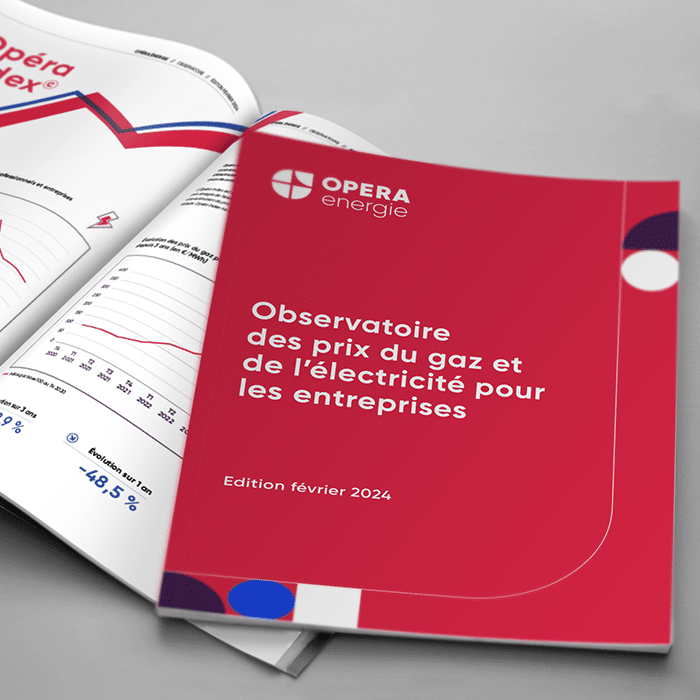 Observatoire prix du gaz et de l'électricité pour les entreprises édition 2024