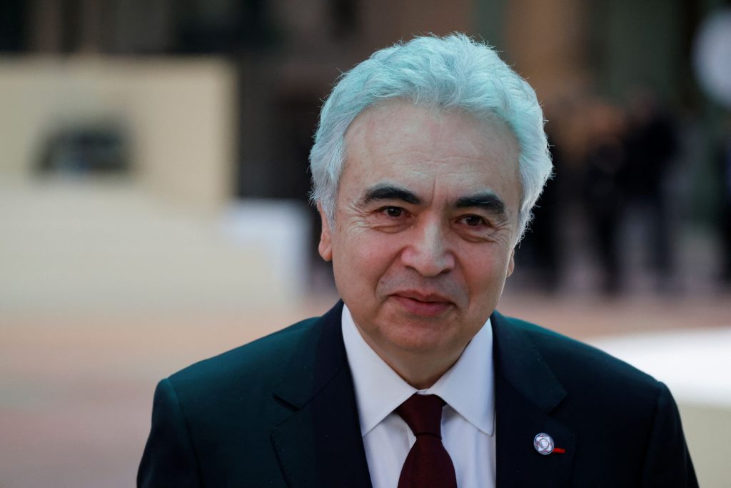 sance et la lenteur de développement des réseaux électriques constituent le principal obstacle à l’électrification de l’économie européenne.